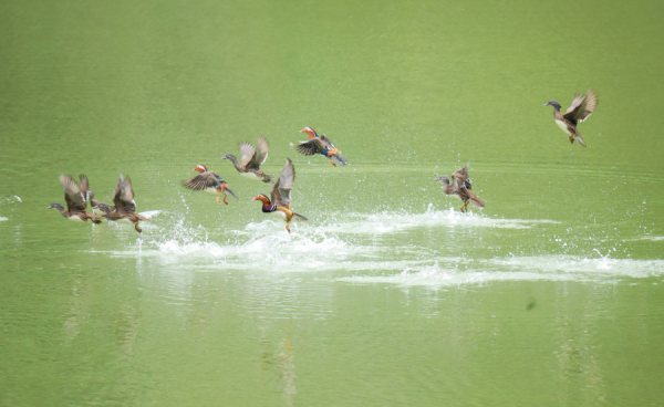 微信图片_2025-11-17_142618_617