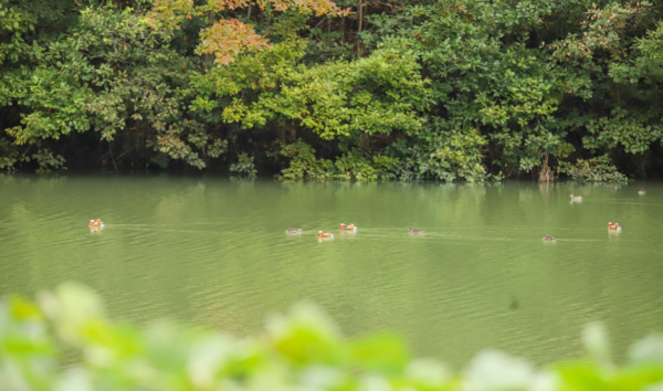 微信图片_2025-11-17_142626_846