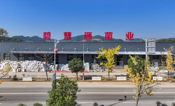 微信图片_2025-11-17_151808_015