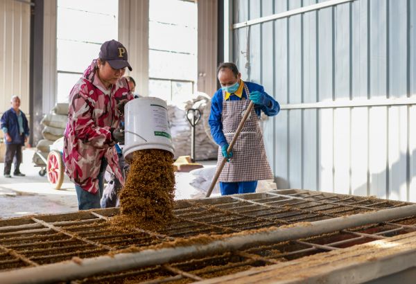 微信图片_2025-11-17_151823_280