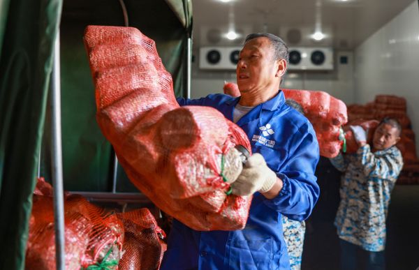 微信图片_2025-11-17_151832_404