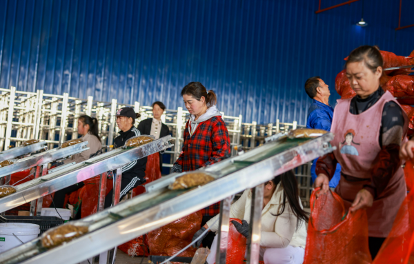 微信图片_2025-11-17_151847_939