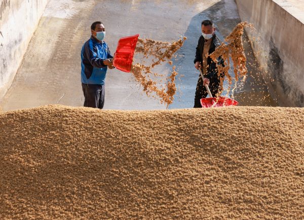 微信图片_2025-11-17_151839_494