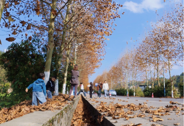 微信图片_2025-11-17_205213_056