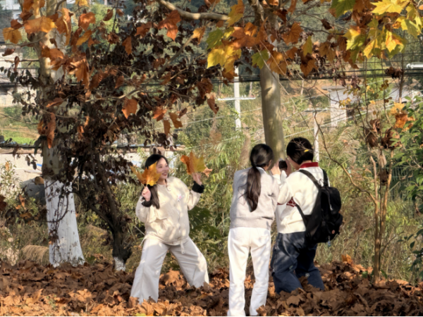 微信图片_2025-11-17_205226_951