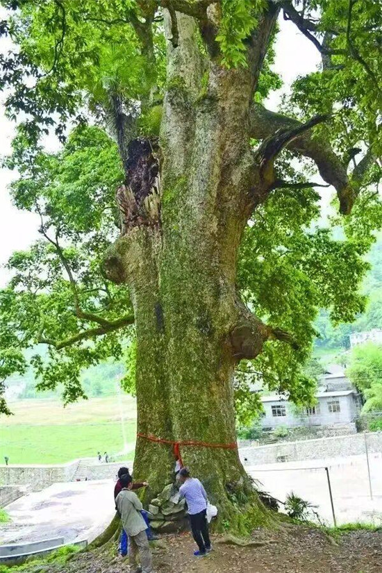 微信图片_2025-11-19_182933_653