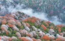 绝美！梵净山雾凇红叶斑斓如画