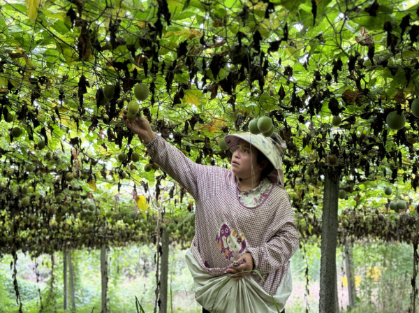 微信圖片_2025-11-20_121955_874