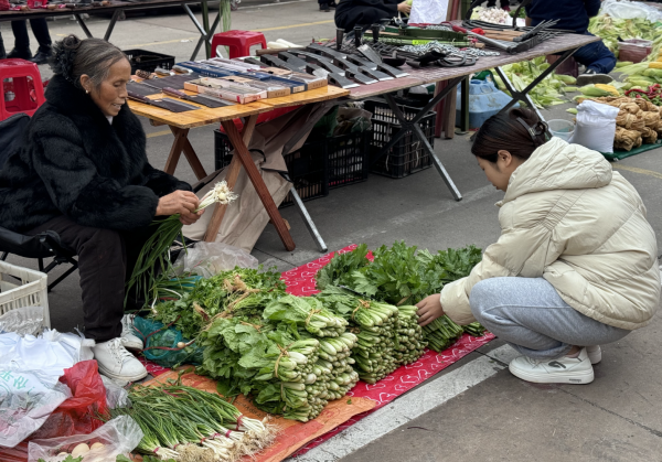 微信图片_2025-11-20_122258_137