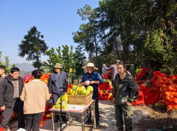 微信图片_2025-11-20_152429_244