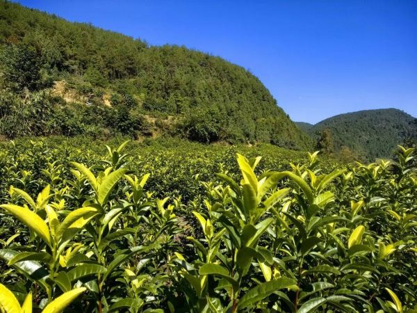 微信图片_2025-11-20_152926_084