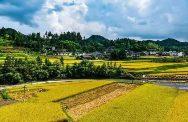 微信圖片_2025-11-20_202812_328