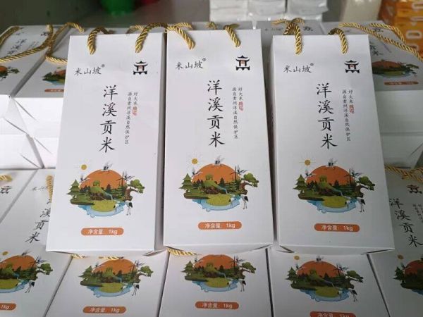 微信圖片_2025-11-20_202849_883