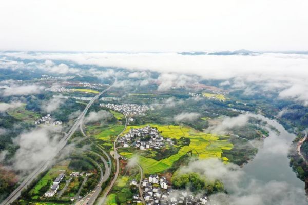“人鳥共生”繪就幸福圖景