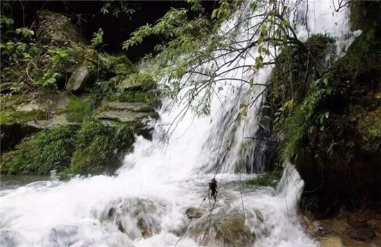 銅仁：保障農(nóng)村飲水安全 繪就鄉(xiāng)村振興底色