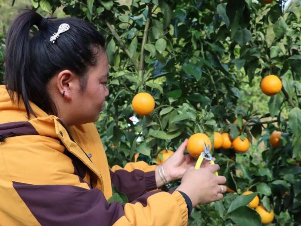 微信圖片_2025-11-23_202337_704