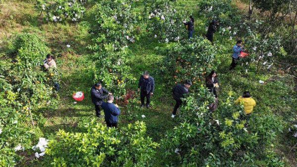 微信圖片_2025-11-23_202328_351