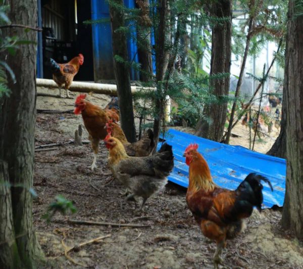 微信圖片_2025-11-23_204638_789