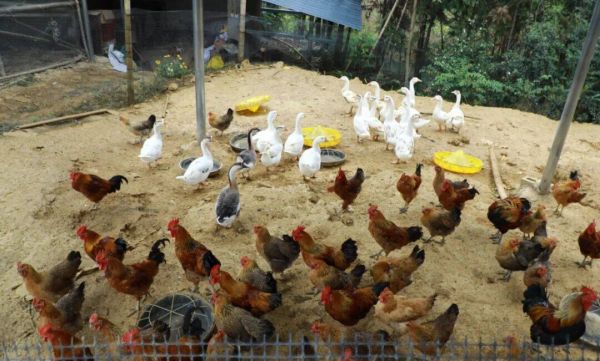 微信圖片_2025-11-23_204647_902