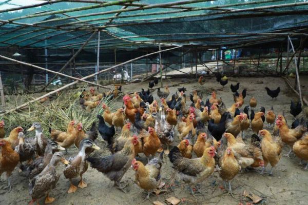 微信圖片_2025-11-23_204701_270