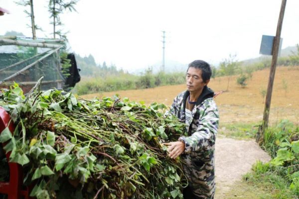 微信圖片_2025-11-23_204713_333