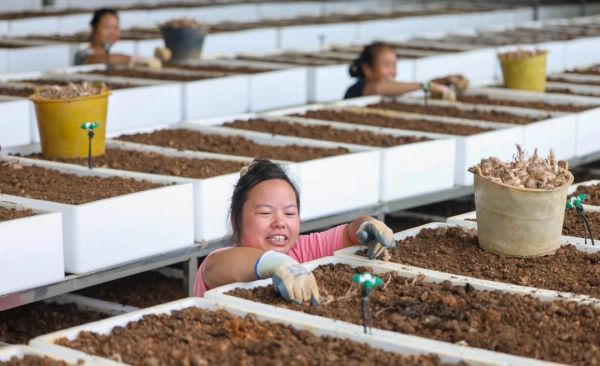 微信图片_20251126151801_411_4