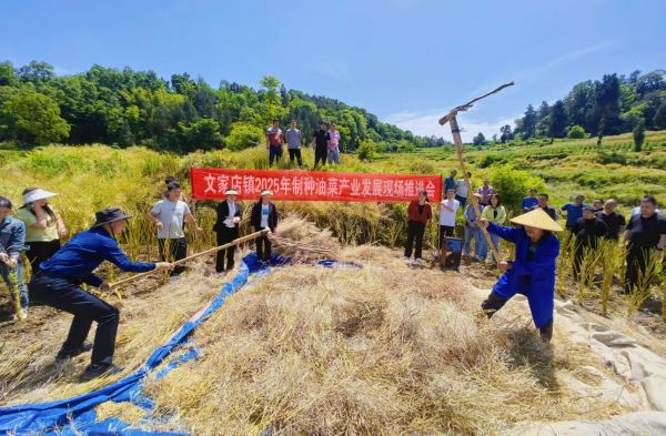 微信图片_2025-11-26_153921_636