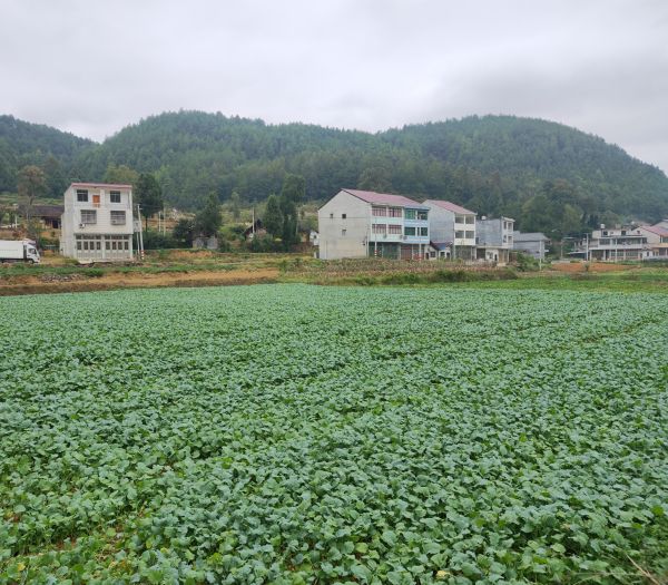 微信图片_2025-11-26_153936_600