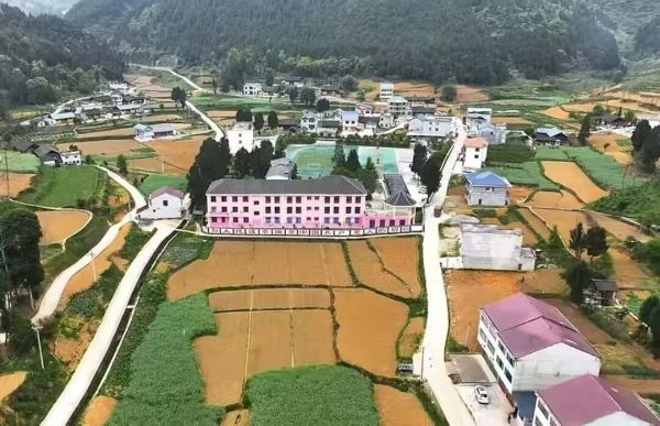 党建播下“金种子” 油菜开出“富民花”——思南红旗村探索强村富民新路径