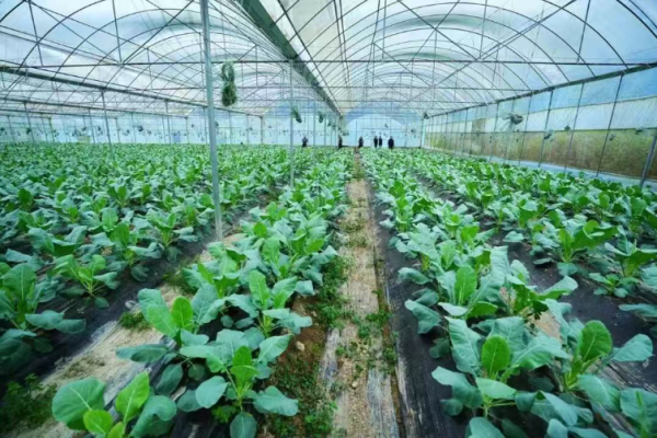 微信圖片_2025-11-26_155924_476