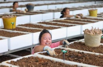 玉屏茅坡村的新鲜事