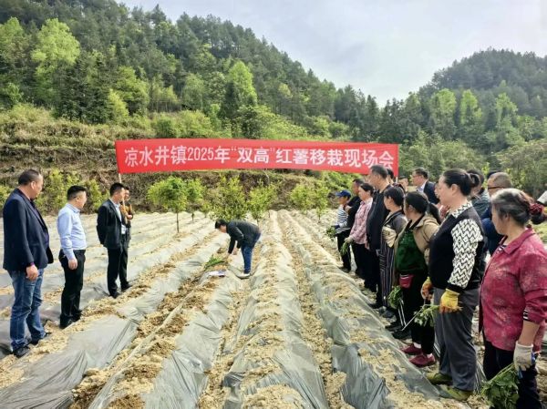 微信图片_2025-11-29_195810_798