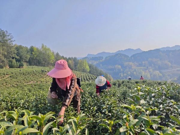 微信图片_2025-11-29_195825_898