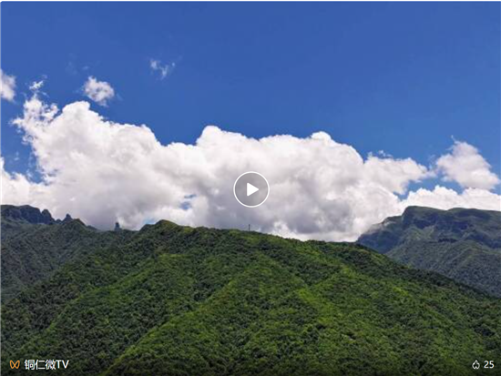 微信图片_20251201090601_1482_2