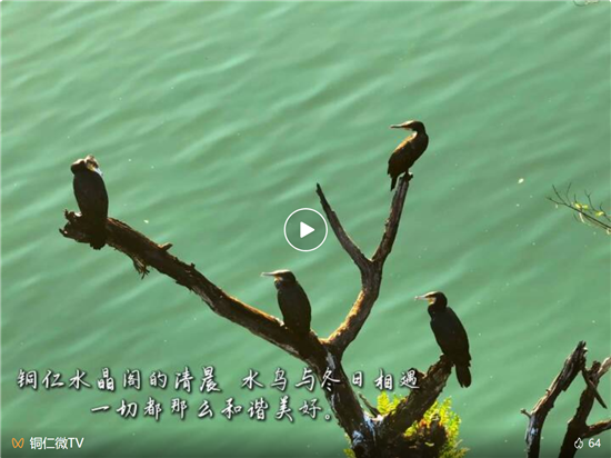 微信图片_20251201104203_1488_2