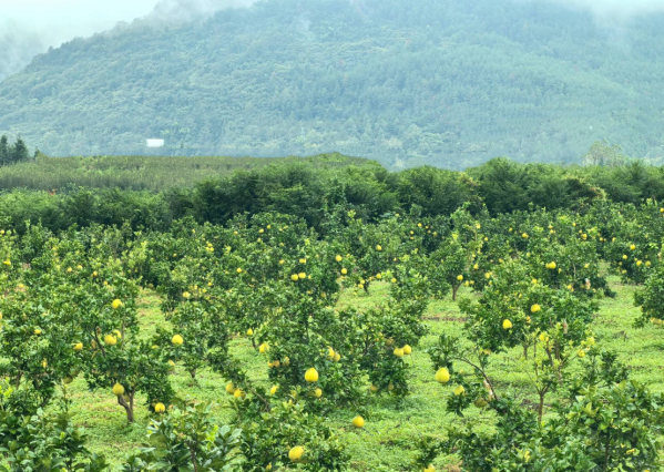 微信图片_2025-12-02_151617_870