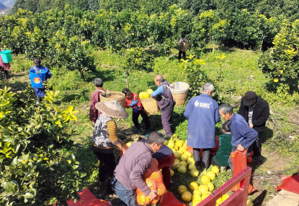 微信图片_2025-12-02_151626_131