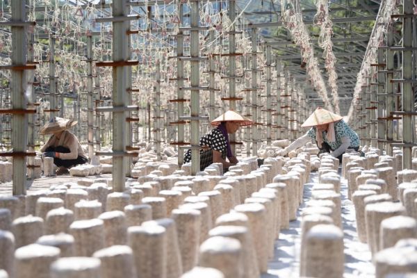 微信图片_20251202153500_457_4