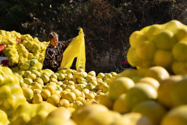 “非沃土”如何长出“金产业”