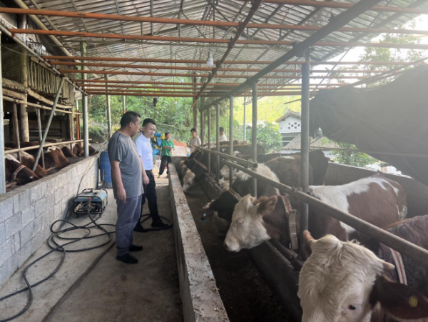 微信圖片_2025-12-02_214723_720