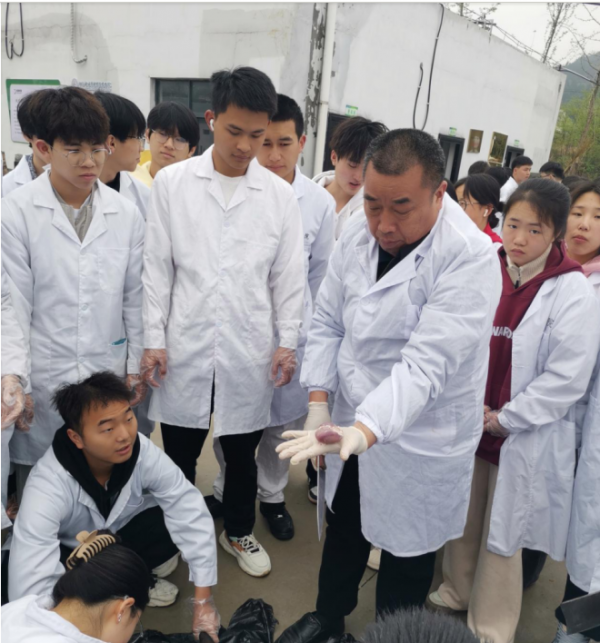 微信圖片_2025-12-02_214746_890