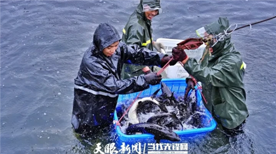 微信圖片_20251204143456_1514_2