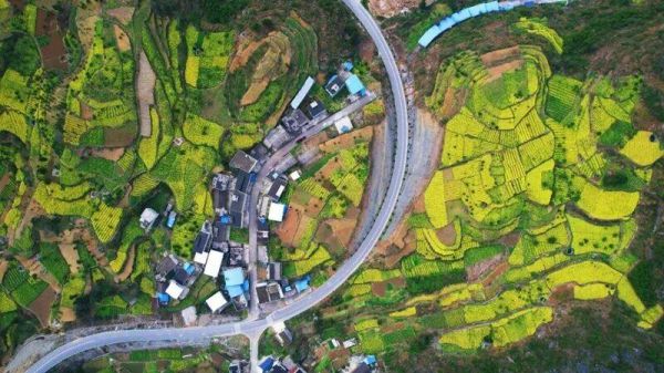 微信圖片_2025-12-05_161125_940