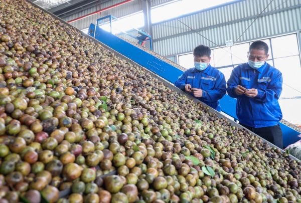 微信圖片_20251208160634_497_4