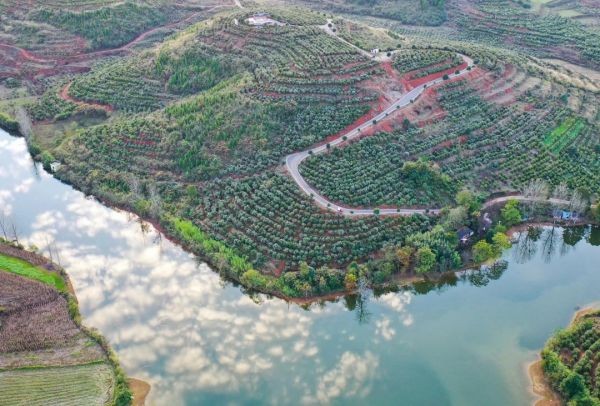 微信圖片_20251208160635_498_4