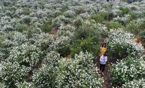 微信圖片_20251208160638_501_4