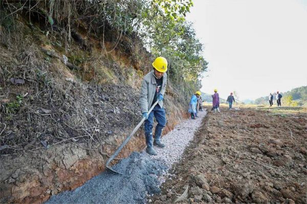 微信圖片_2025-12-08_161214_803