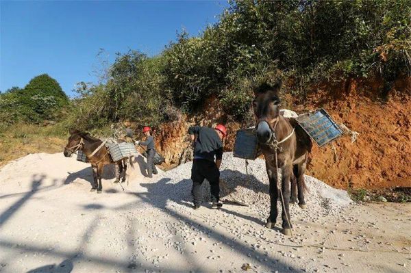 微信圖片_2025-12-08_161223_007