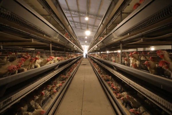 微信圖片_2025-12-08_161638_092