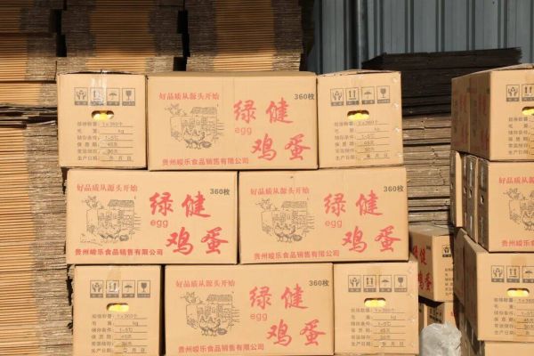 微信圖片_2025-12-08_161711_371